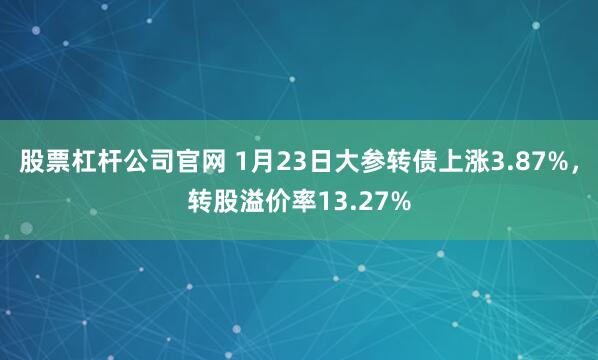 股票杠杆公司官网 1月23日大参转债上涨3.87%，转股溢价率13.27%
