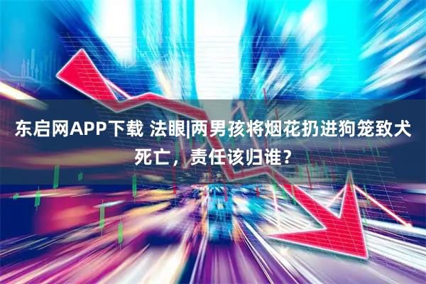 东启网APP下载 法眼|两男孩将烟花扔进狗笼致犬死亡，责任该归谁？