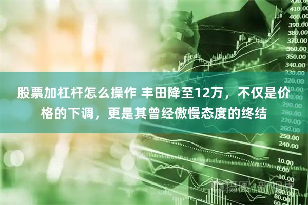 股票加杠杆怎么操作 丰田降至12万，不仅是价格的下调，更是其曾经傲慢态度的终结