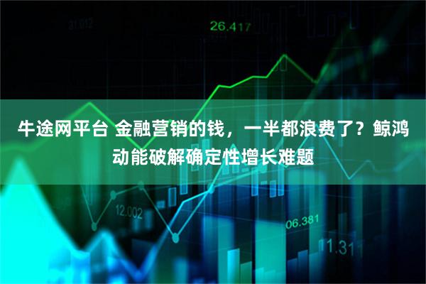 牛途网平台 金融营销的钱，一半都浪费了？鲸鸿动能破解确定性增长难题